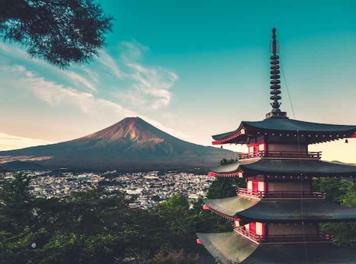 Tours by Locals Tokyo: Discover Some Hidden Gems, Cultu