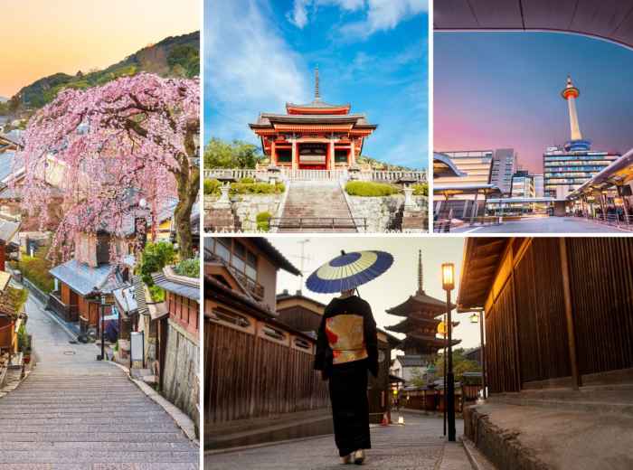 Spring tours in Kyoto: Navigating cherry blossoms, cult