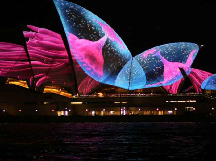 Vivid Festival
