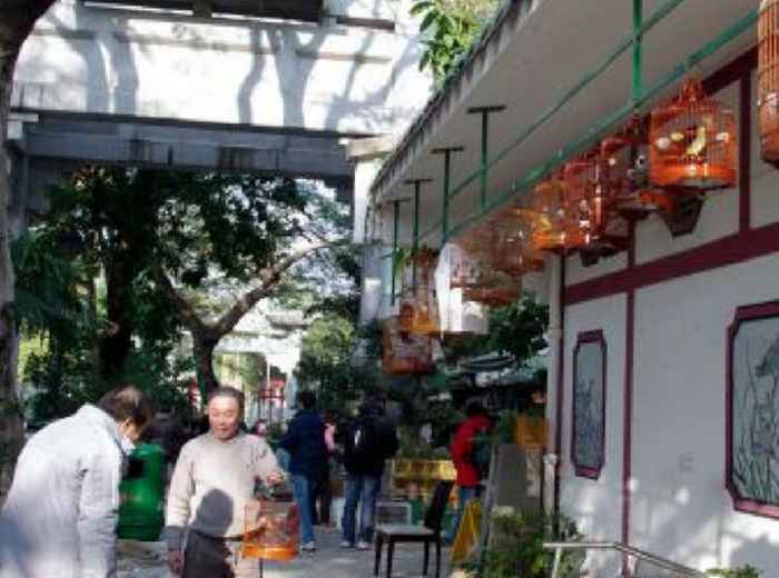 City Unscripted article image