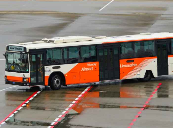 City Unscripted article image