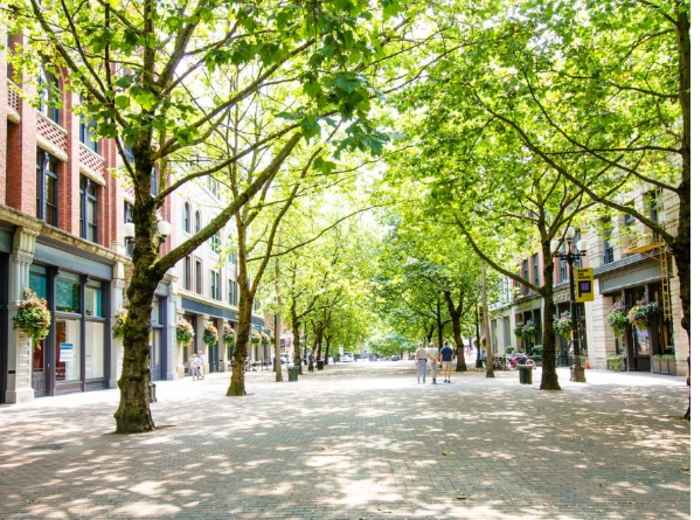 City Unscripted article image