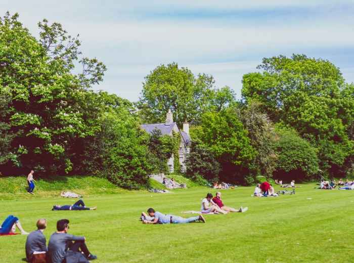 Iveagh Gardens