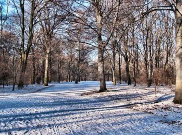 Go sledging at Viktoriapark 