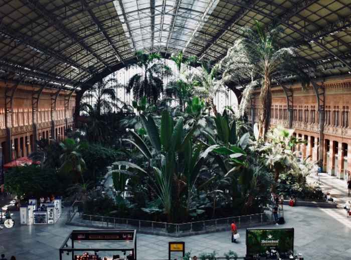 City Unscripted article image