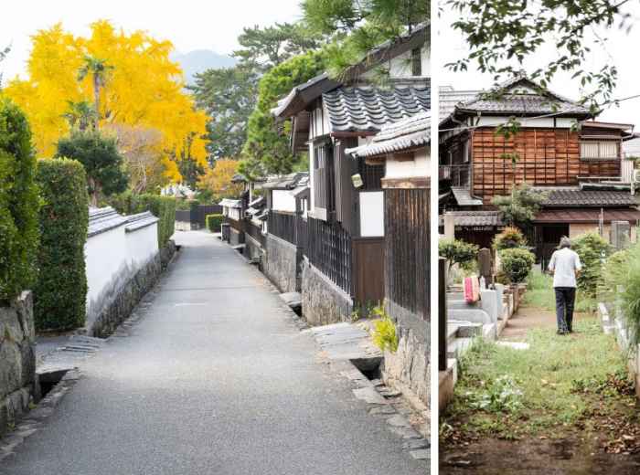 City Unscripted article image