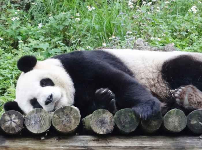 City Unscripted article image