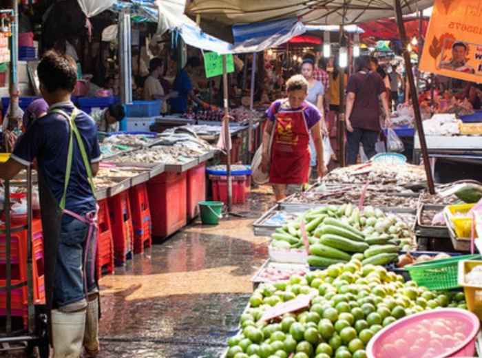 Tips and Guidance For Solo Travelers