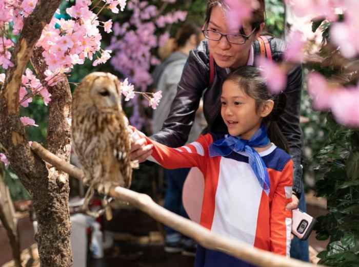 City Unscripted article image