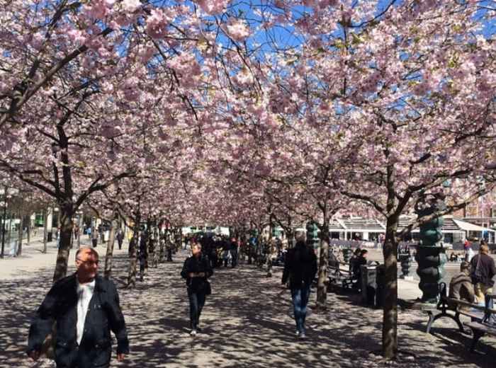 City Unscripted article image