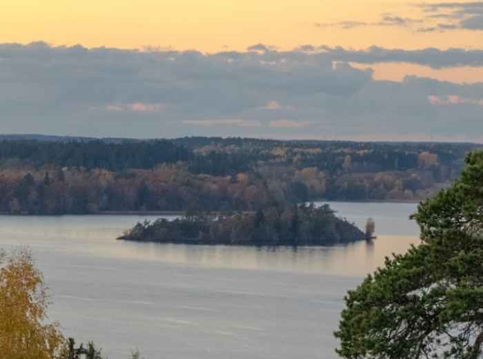 City Unscripted article image