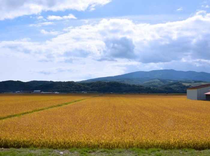 City Unscripted article image