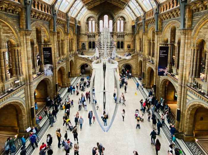 Natural History Museum - South Kensington