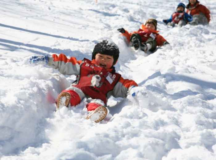 Ski and Snowboard in winter