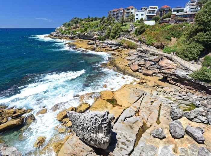 Bushwalking like the locals