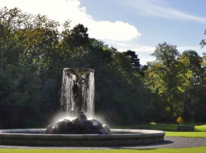 The perfect first date