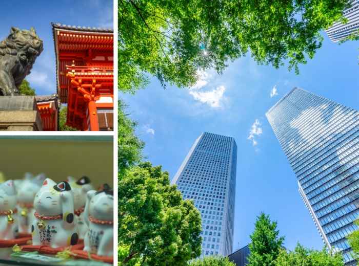 City Unscripted article image