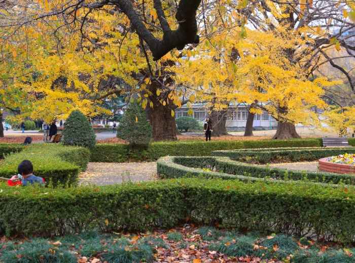 City Unscripted article image