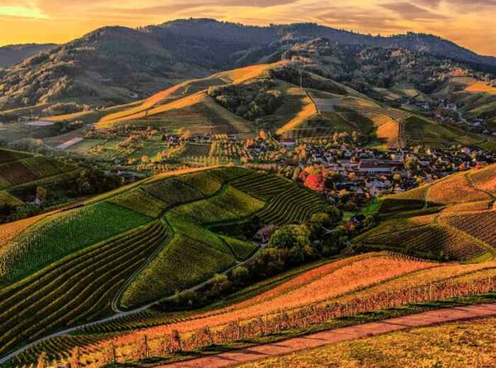 Afternoon- lunchtime