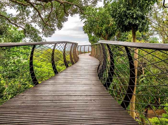 Kirstenbosch Gardens