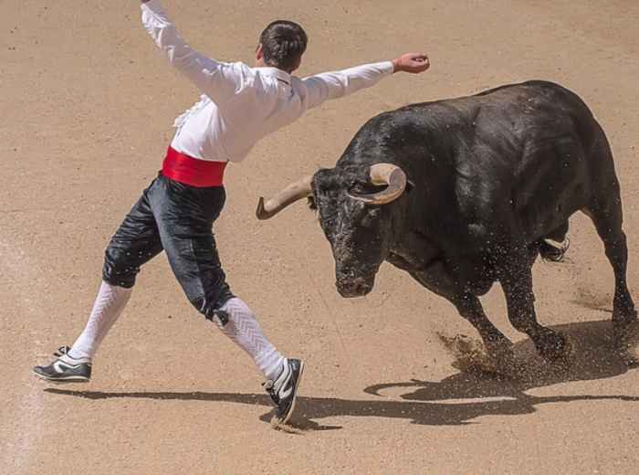 City Unscripted article image