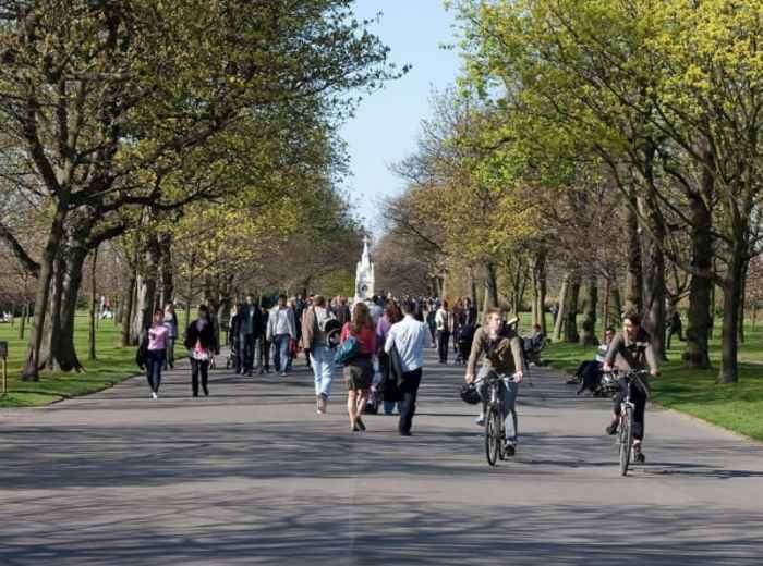 Get lost in Daunt Bookshop