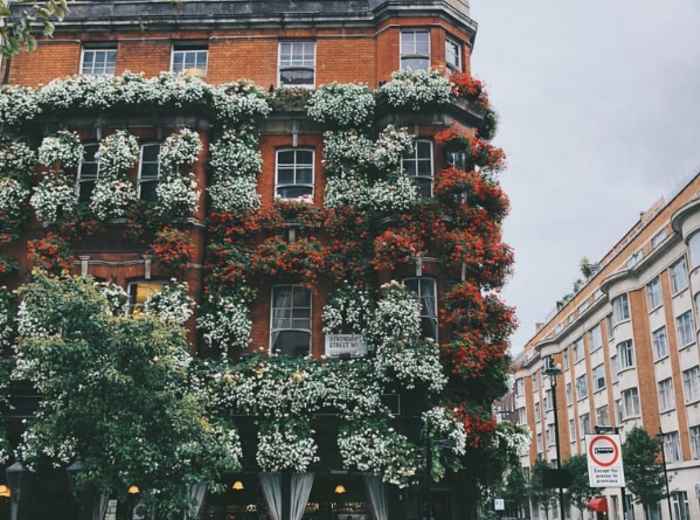 Have a Drink in the Masons Arms