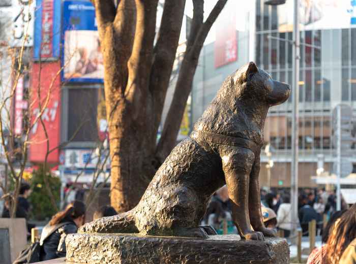 City Unscripted article image