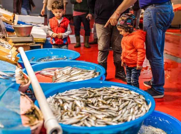 Discover Kadikoy Fish Market