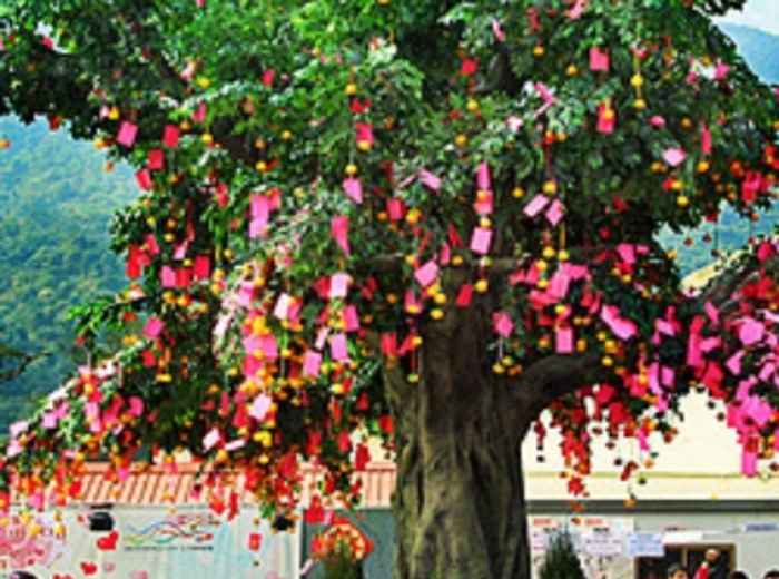 City Unscripted article image