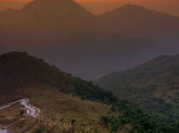 City Unscripted article image