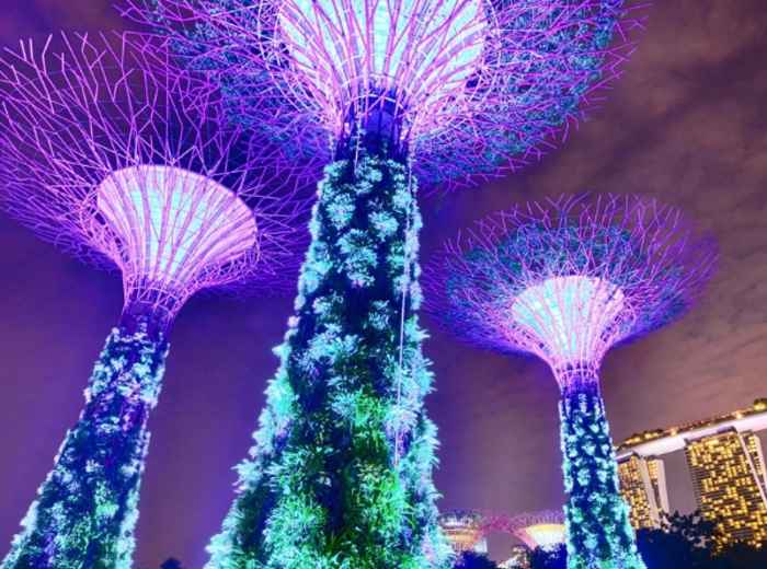 City Unscripted article image