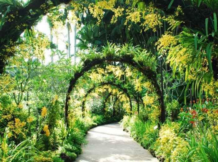 City Unscripted article image