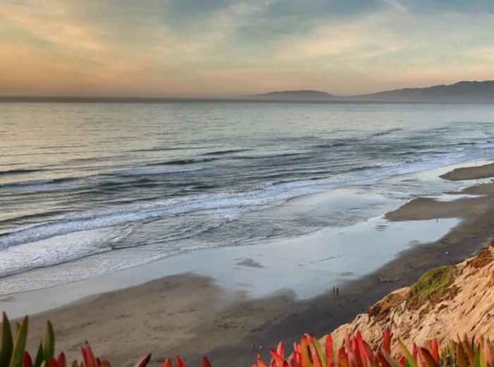 City Unscripted article image