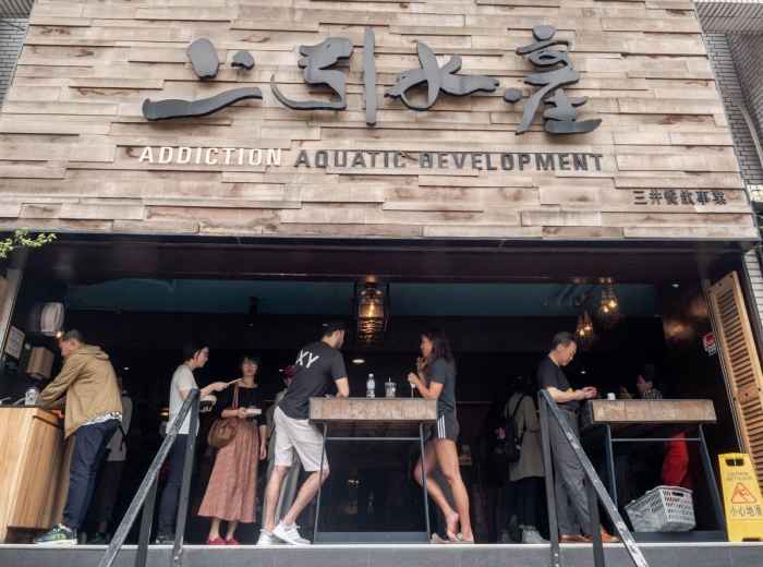 Addiction Aquatic Development