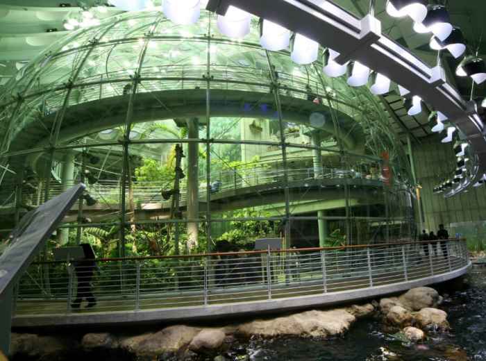 City Unscripted article image