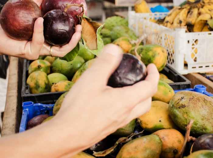 Experience A Food Market