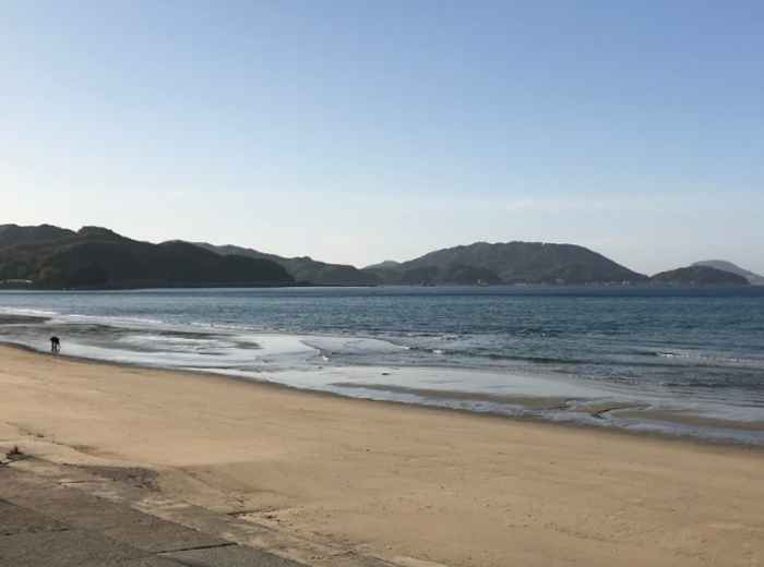 City Unscripted article image