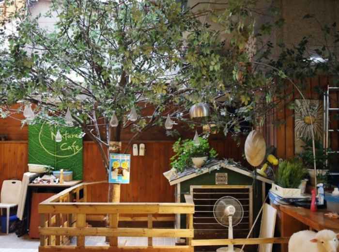 City Unscripted article image