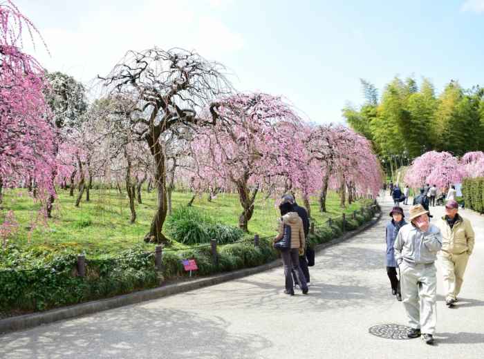 Nagoya Agricultural Centre