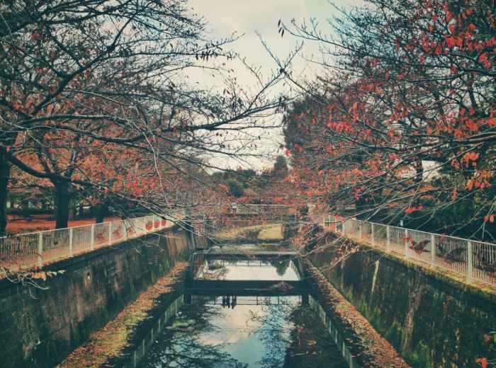 Fall Leaf Viewing in Yusentei Park