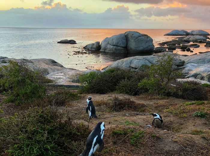 City Unscripted article image