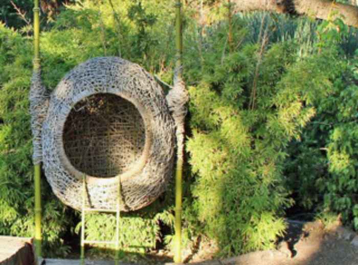 For the Animal Lovers