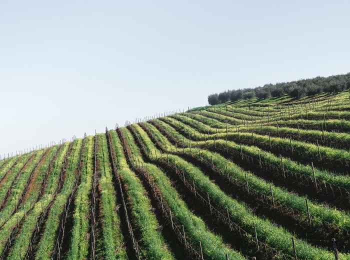 Head out of the city