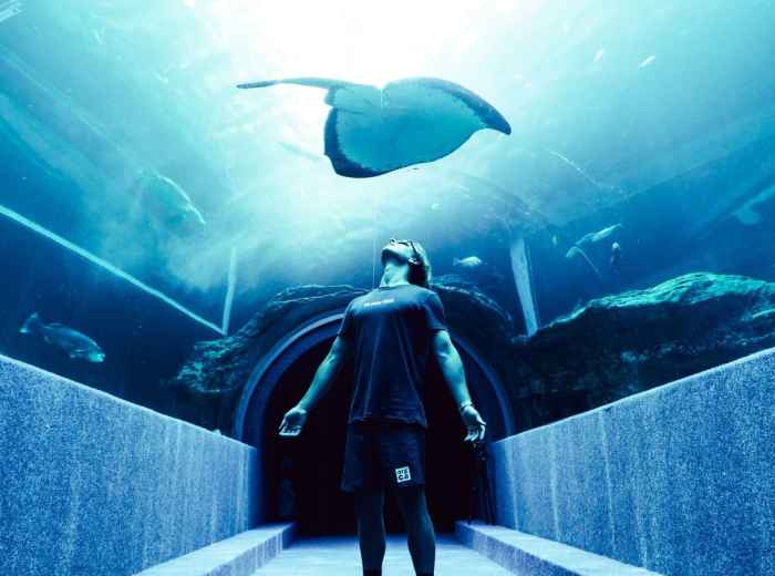 Pirates and Seafarers, Ahoy!