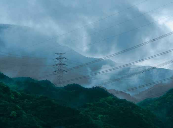 Food is diverse and delicious