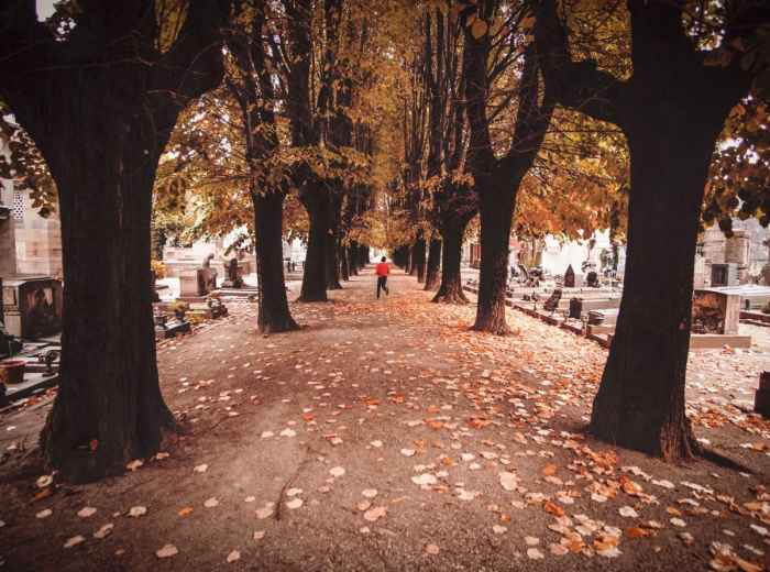 Watch the Milanoltre Dance Festival