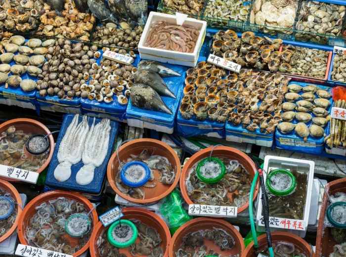 Shop At Seoul’s Biggest Fish Market
