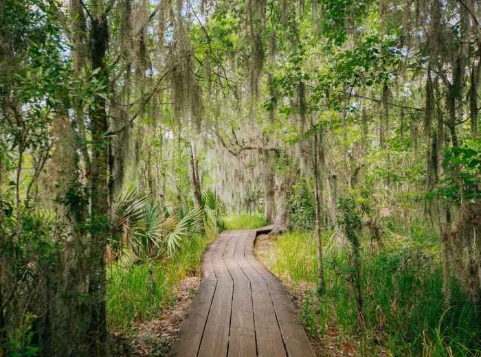 Jean Lafitte National Historical ParkJean Lafitte Natio