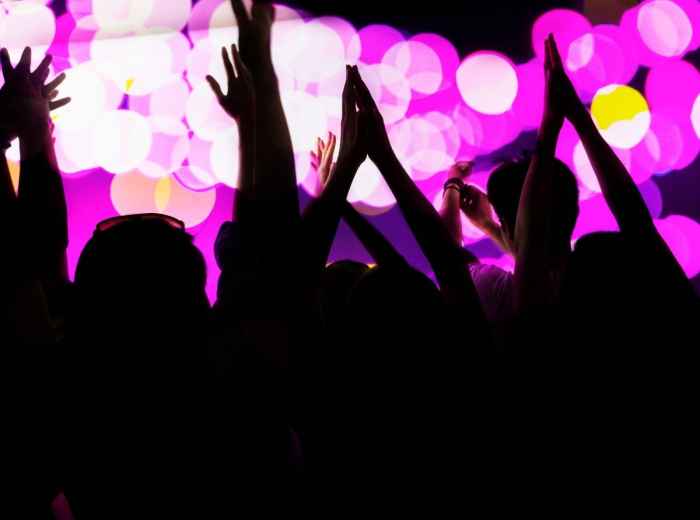 Attend Gringo Tuesdays